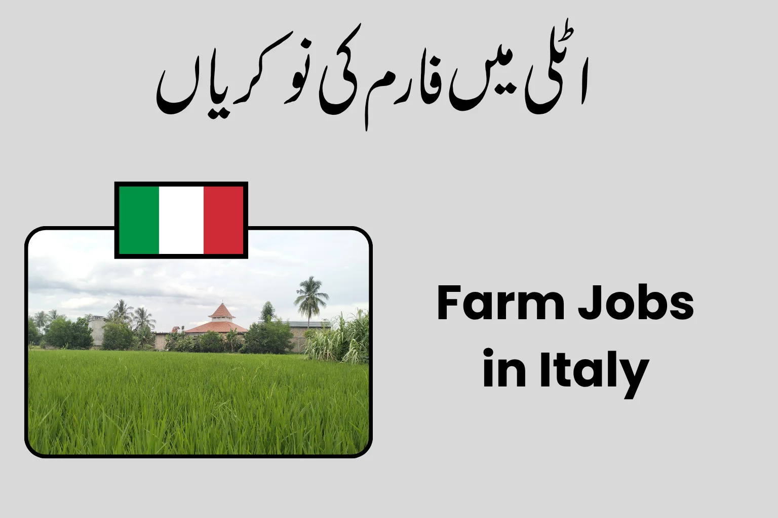 Farm Jobs in Italy