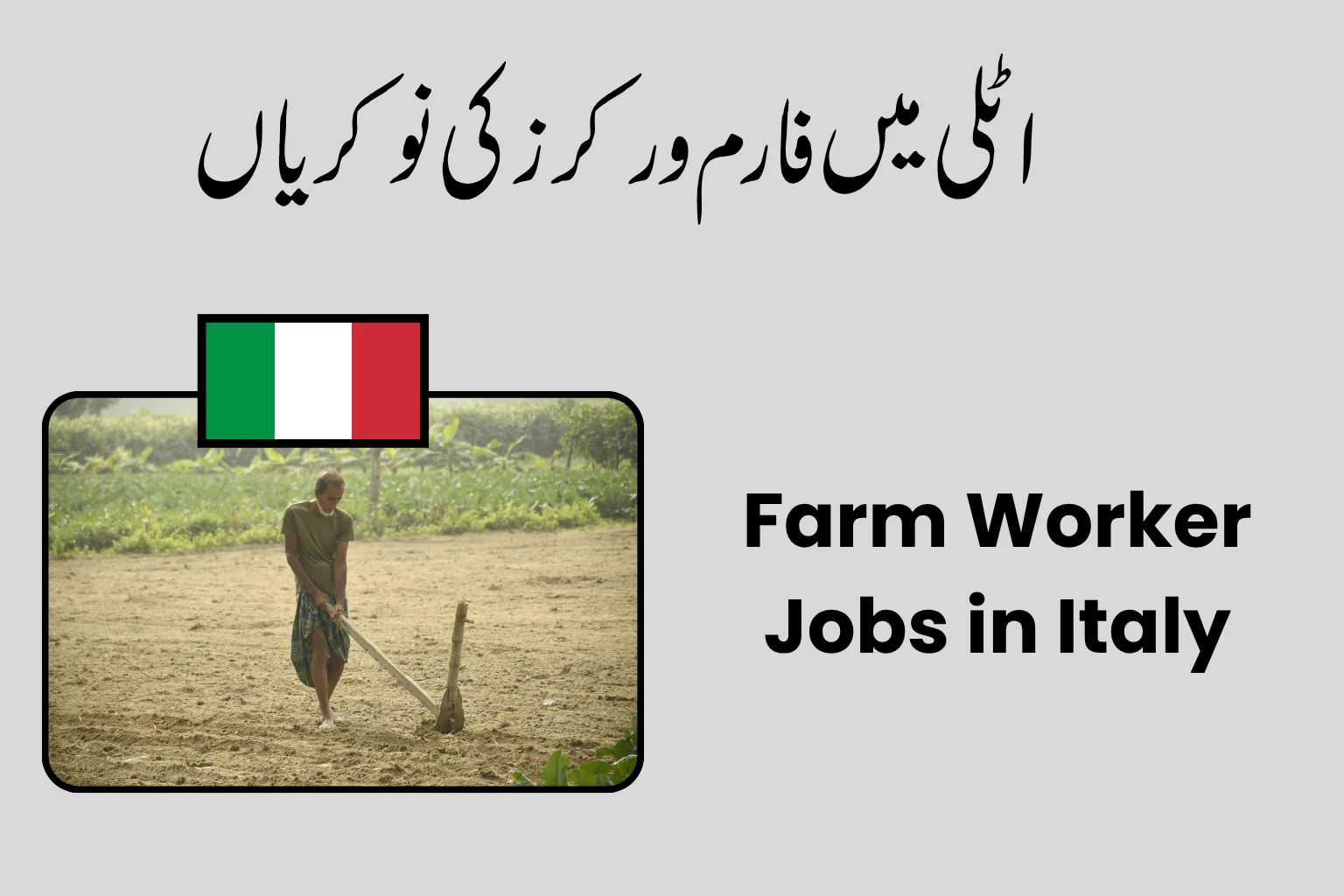 Farm Worker Jobs in Italy