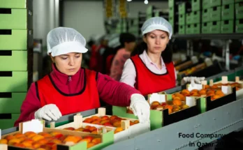 Food Company Jobs in Qatar 2026