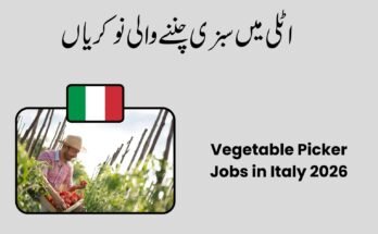 Vegetable Picker Jobs in Italy 2026