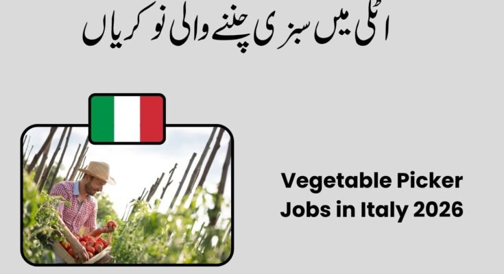 Vegetable Picker Jobs in Italy 2026