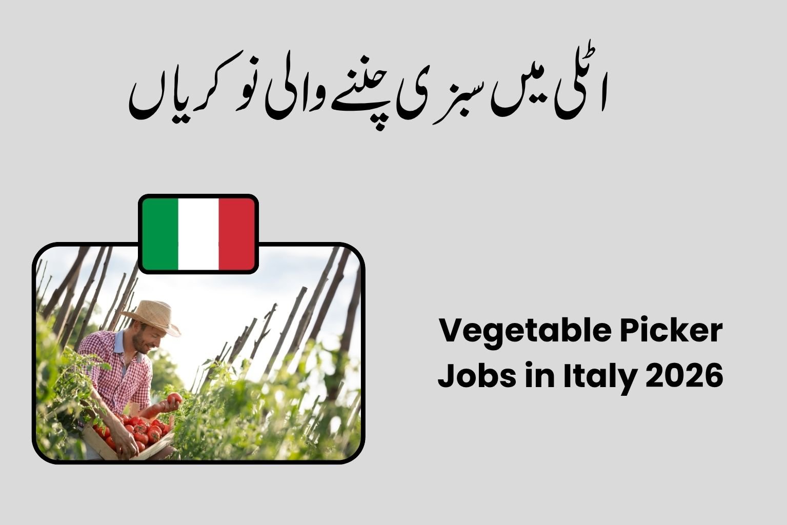 Vegetable Picker Jobs in Italy 2026