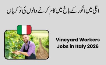 Vineyard Workers Jobs in Italy