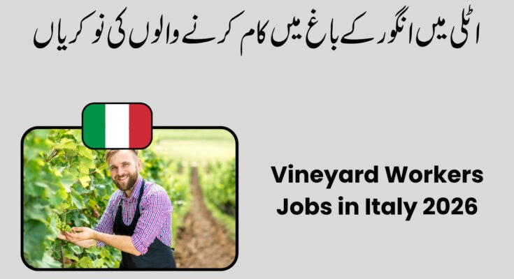 Vineyard Workers Jobs in Italy